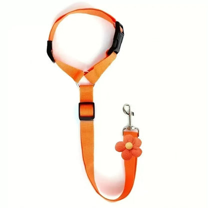 PawSecure Ride Belt